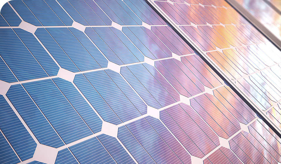 2018年榮獲天津市科委資助，承擔(dān)科技重點(diǎn)研發(fā)項(xiàng)目《用于退化土壤的水稻專用菌肥的研制》