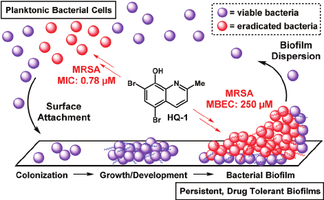 超級(jí)生物膜降解有機(jī)廢氣處理技術(shù)入選2018年天津市節(jié)能低碳與環(huán)境污染防治技術(shù)指導(dǎo)目錄