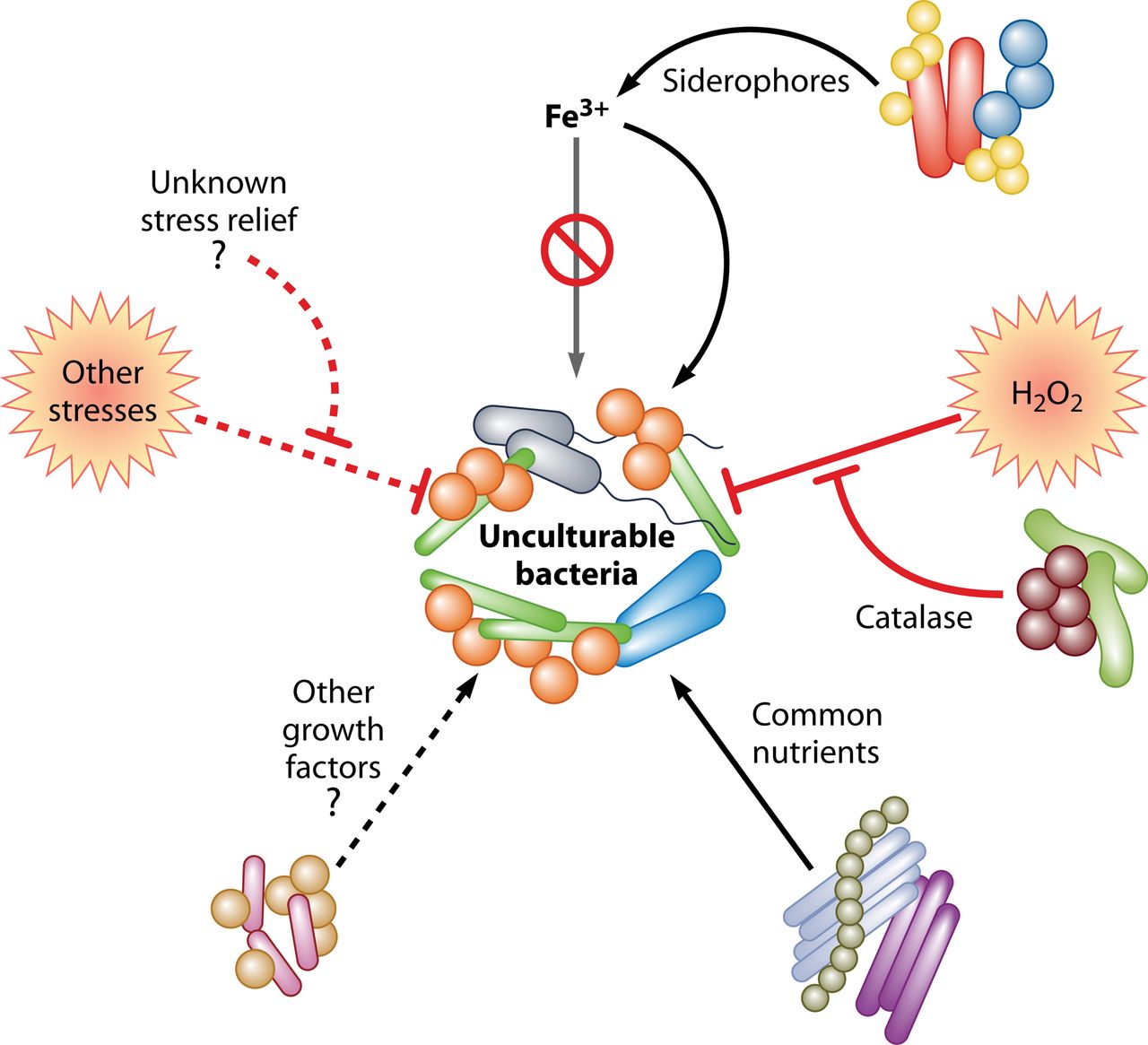 超級生物膜降解有機廢氣處理技術入選天津市節(jié)能低碳與環(huán)境污染防治技術指導目錄