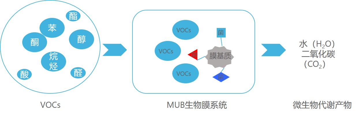 MUB廢氣治理技術(shù)原理