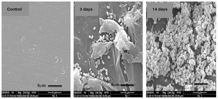 固體廢物背景介紹