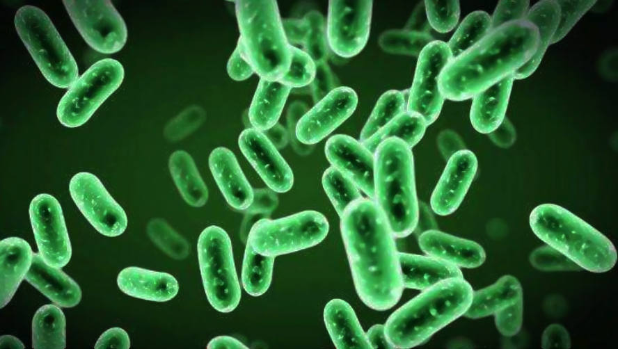 生態(tài)環(huán)境修復(fù)背景介紹