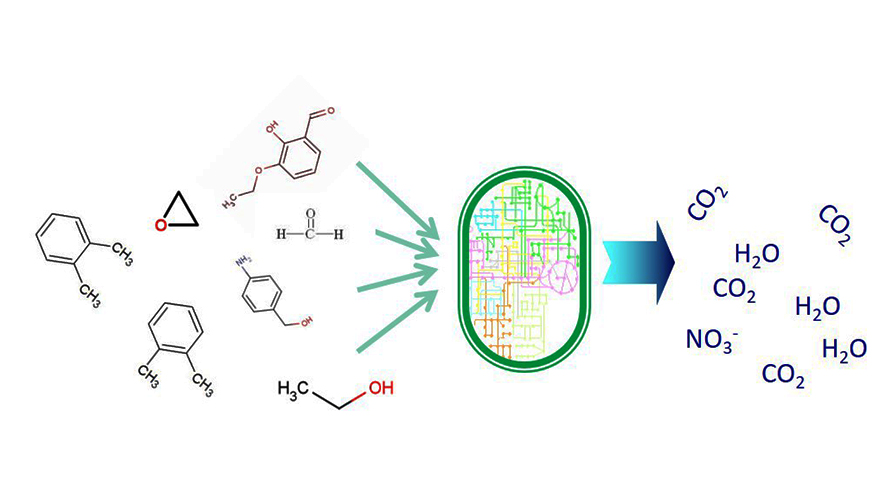污染物治理列表